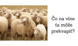 Čo na vlne ťa môže prekvapiť Čo na vlne ťa môže prekvapiť