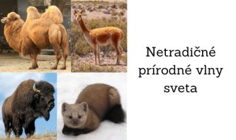 Netradičné prírodné vlny sveta