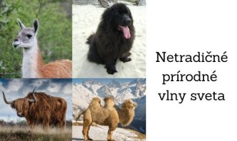 Netradičné prírodné vlny sveta Netradičné prírodné vlny sveta