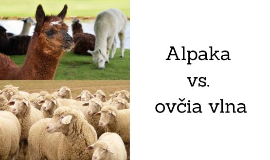 Alpaka vs. Vlna